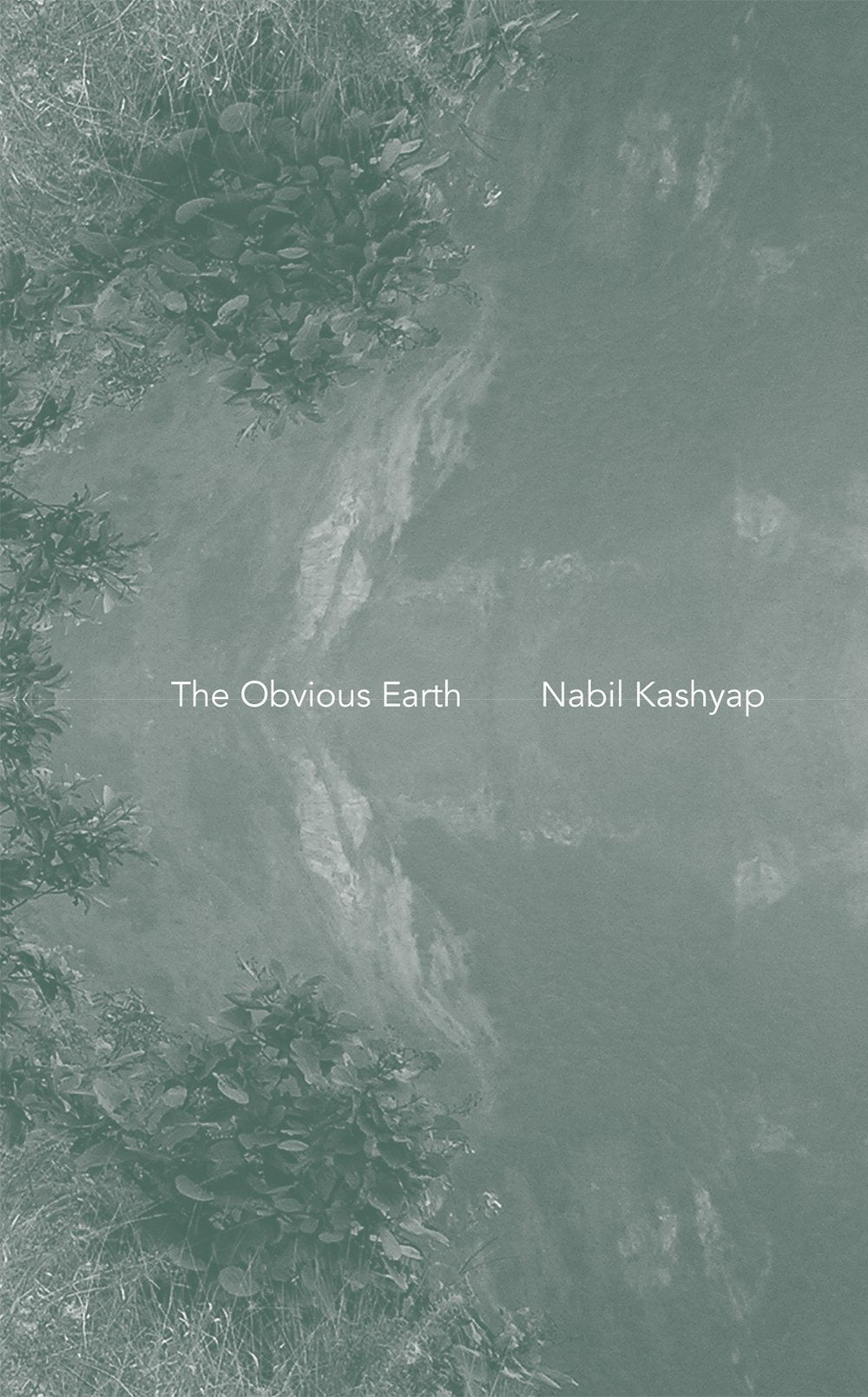 Obvious Earth book cover