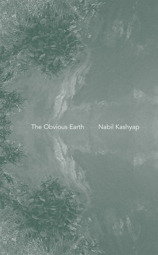 Obvious Earth book cover