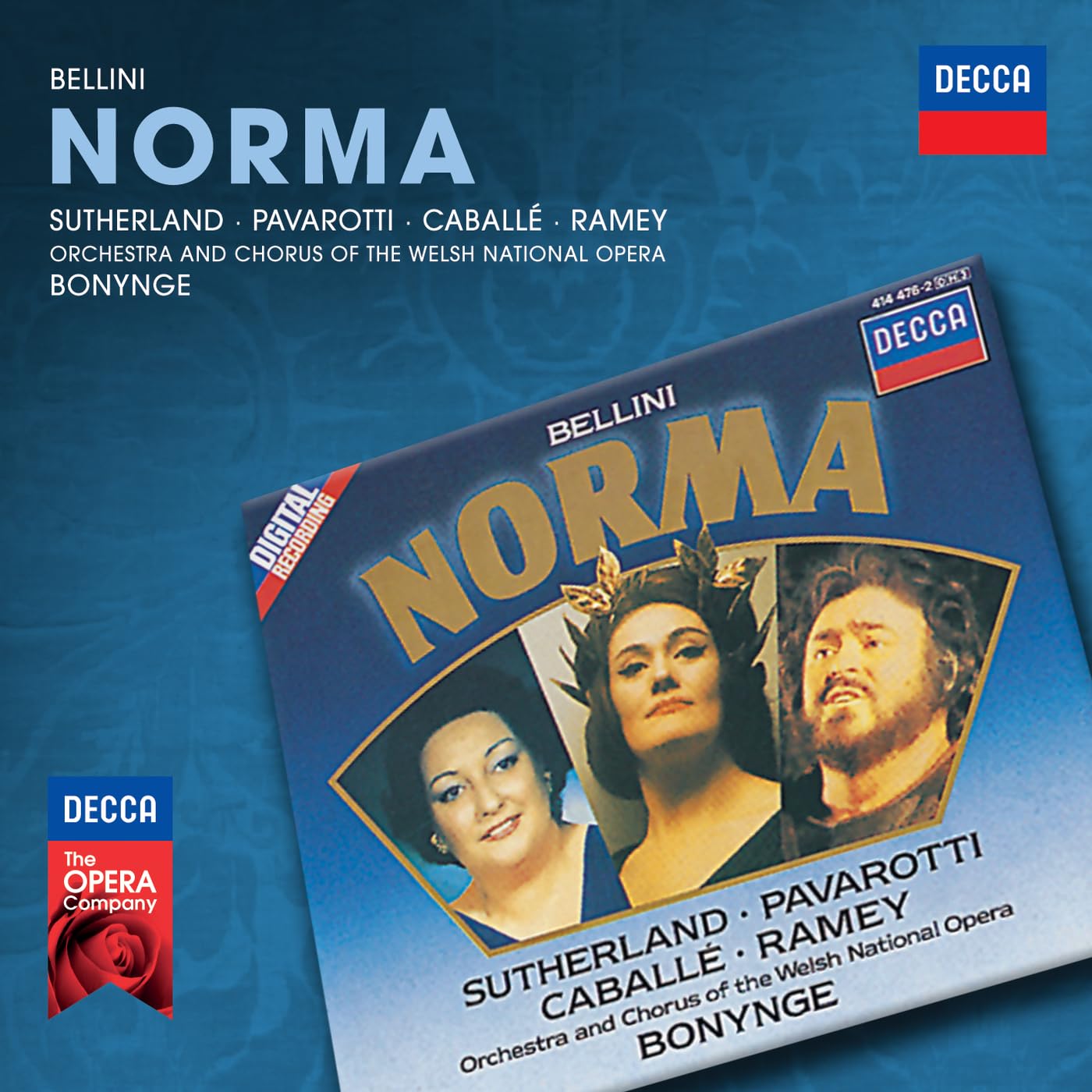Norma book cover