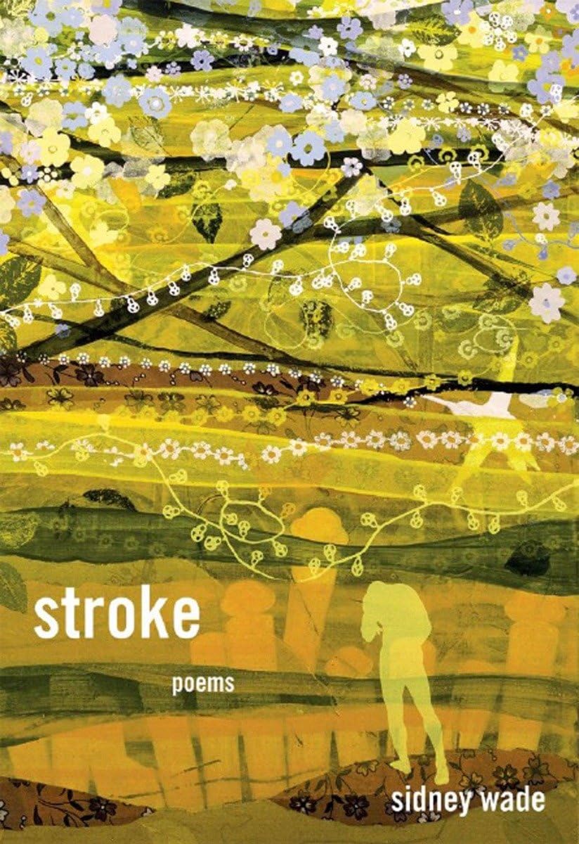 Stroke: Poems book cover