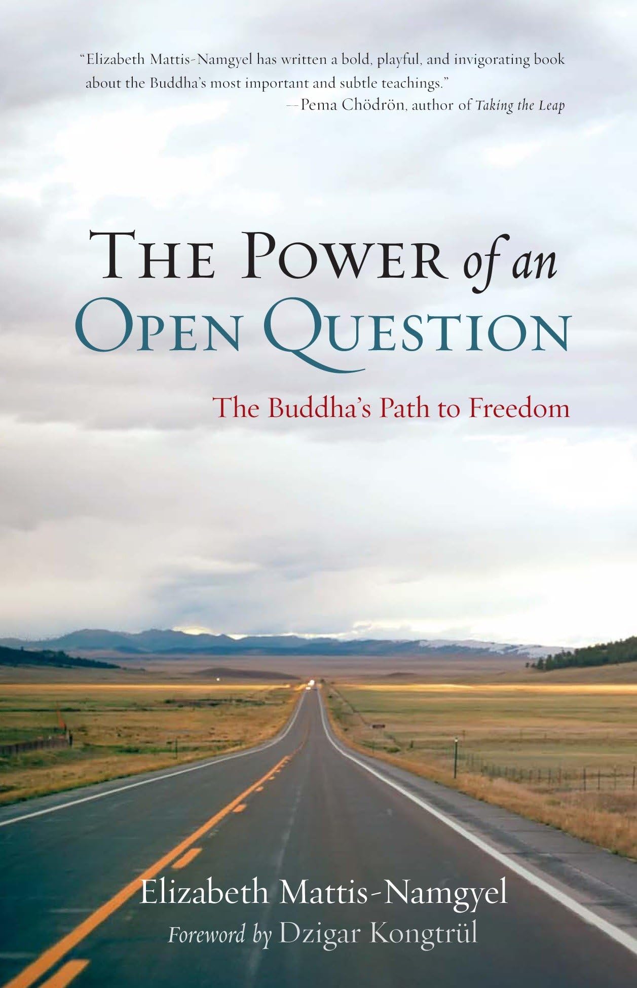 Power of an Open Question: The Buddha's Path to Freedom book cover