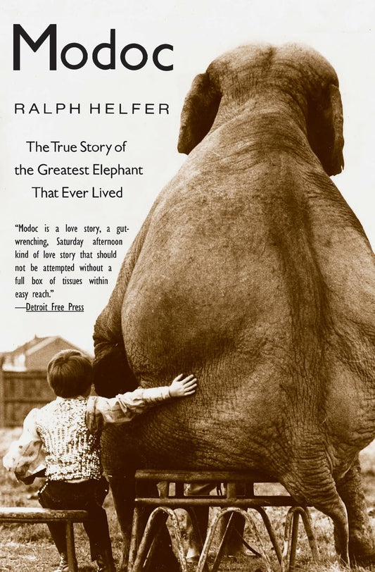 Modoc: The True Story of the Greatest Elephant That Ever Lived book cover