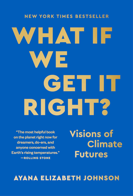 What If We Get It Right? book cover