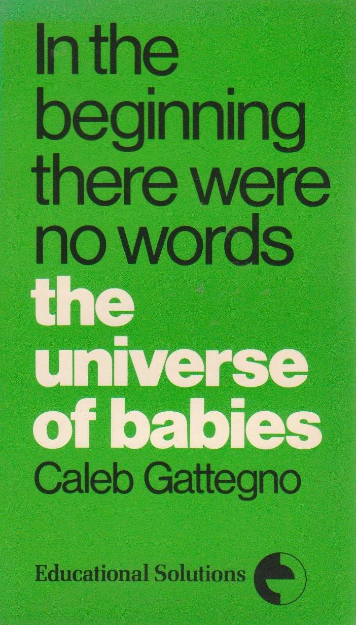 In the Beginning There Were No Words: The Universe of Babies book cover