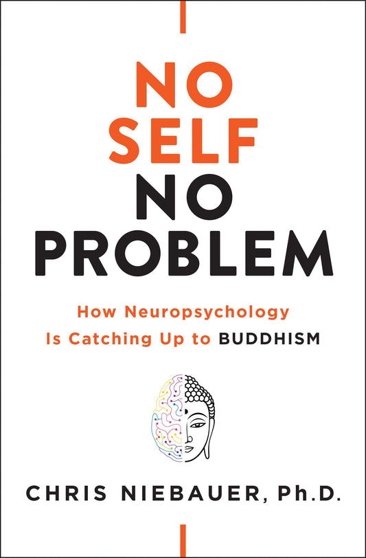 No Self, No Problem: How Neuropsychology Is Catching Up to Buddhism book cover