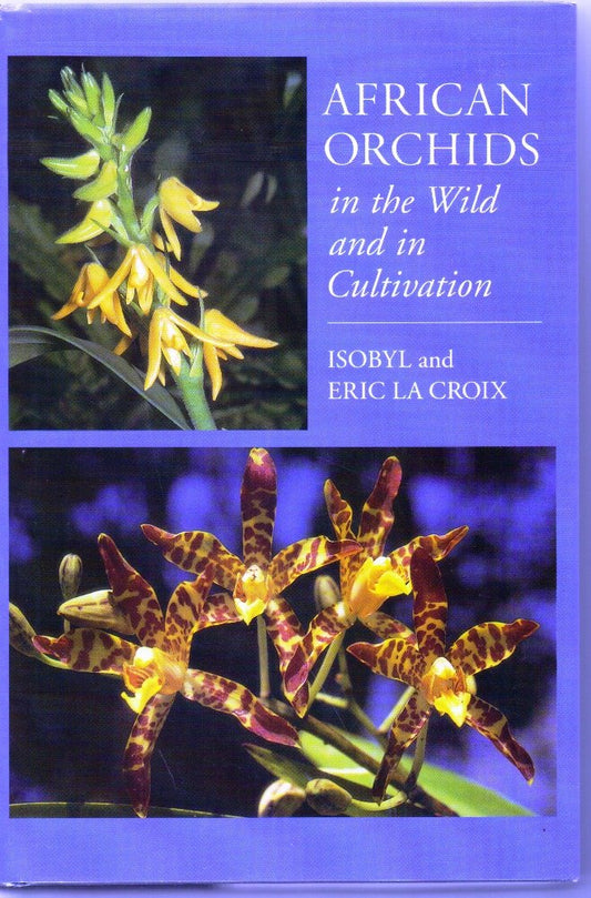 African Orchids in the Wild and in Cultivation book cover