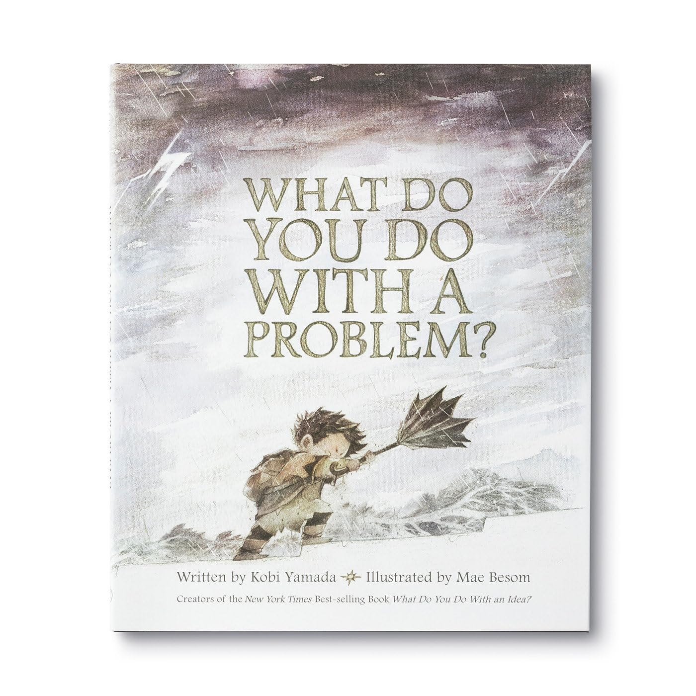 What Do You Do with a Problem? book cover