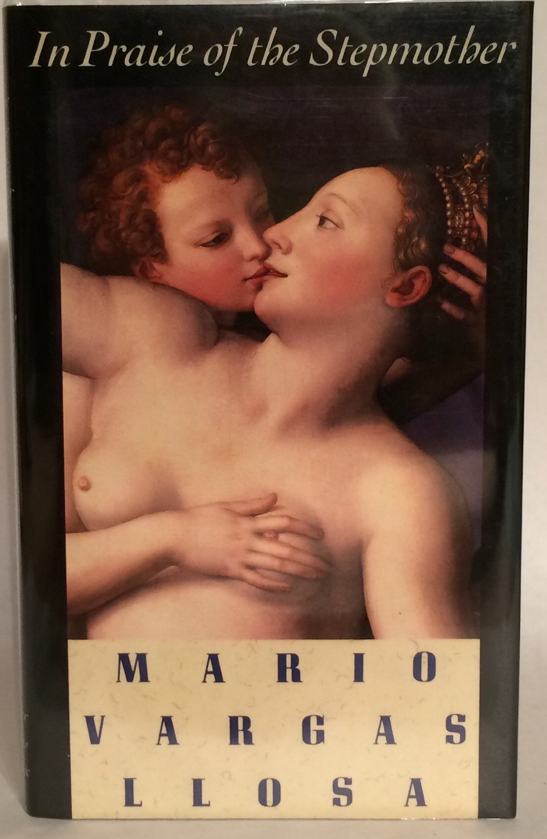 In Praise of the Stepmother book cover