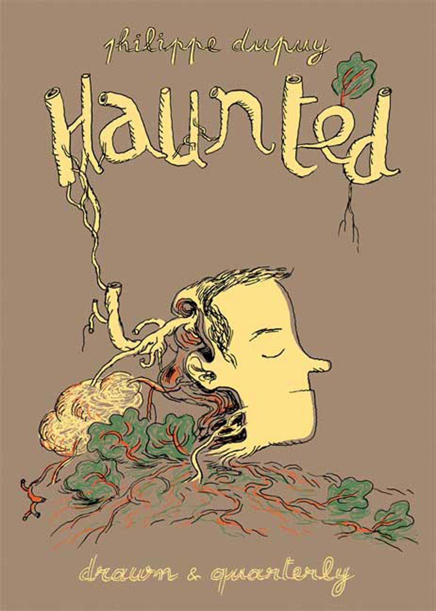 Haunted book cover
