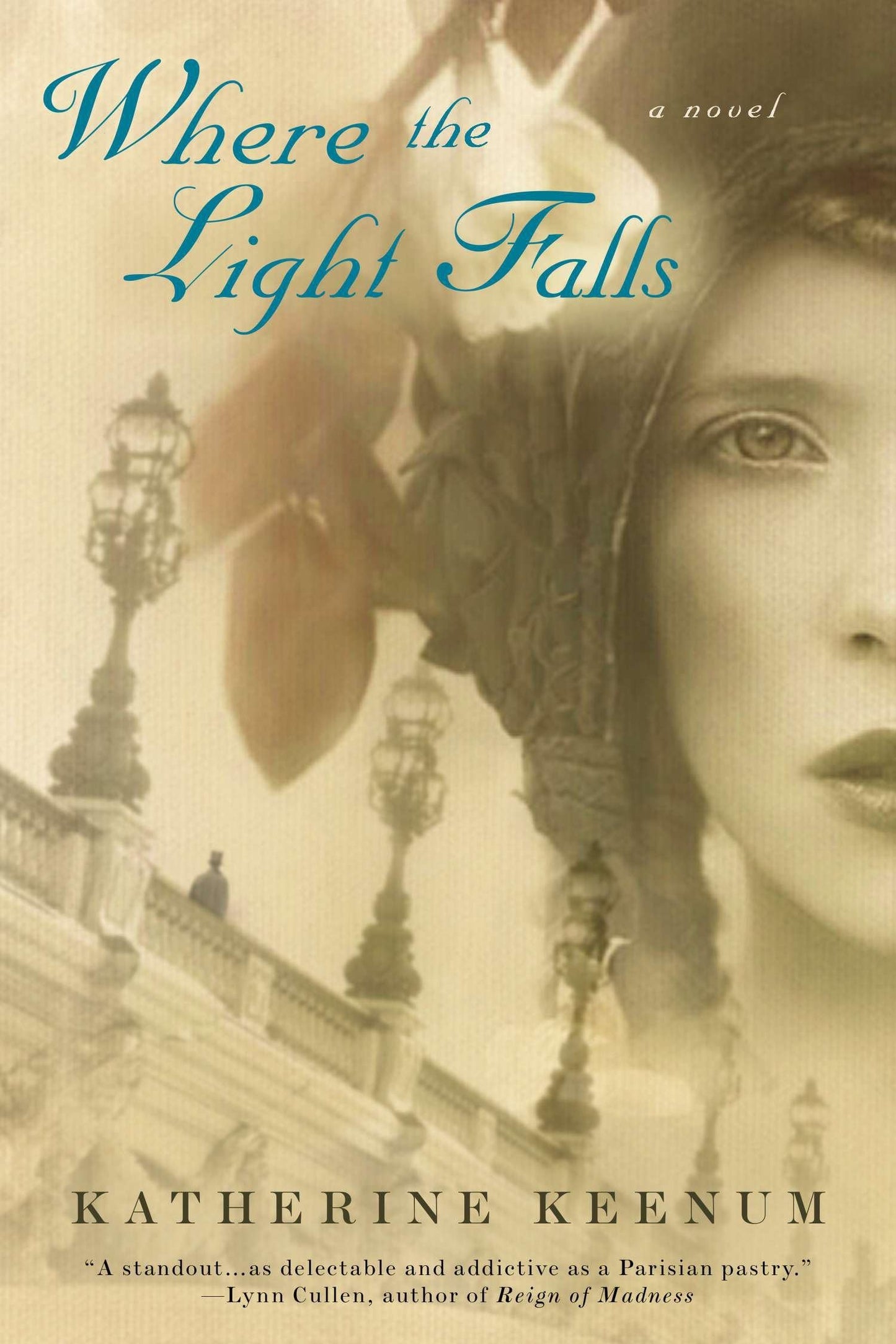 Where the Light Falls book cover
