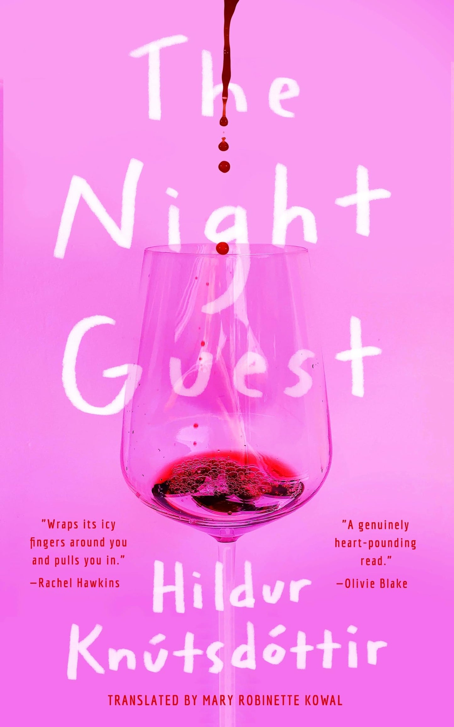 Night Guest book cover