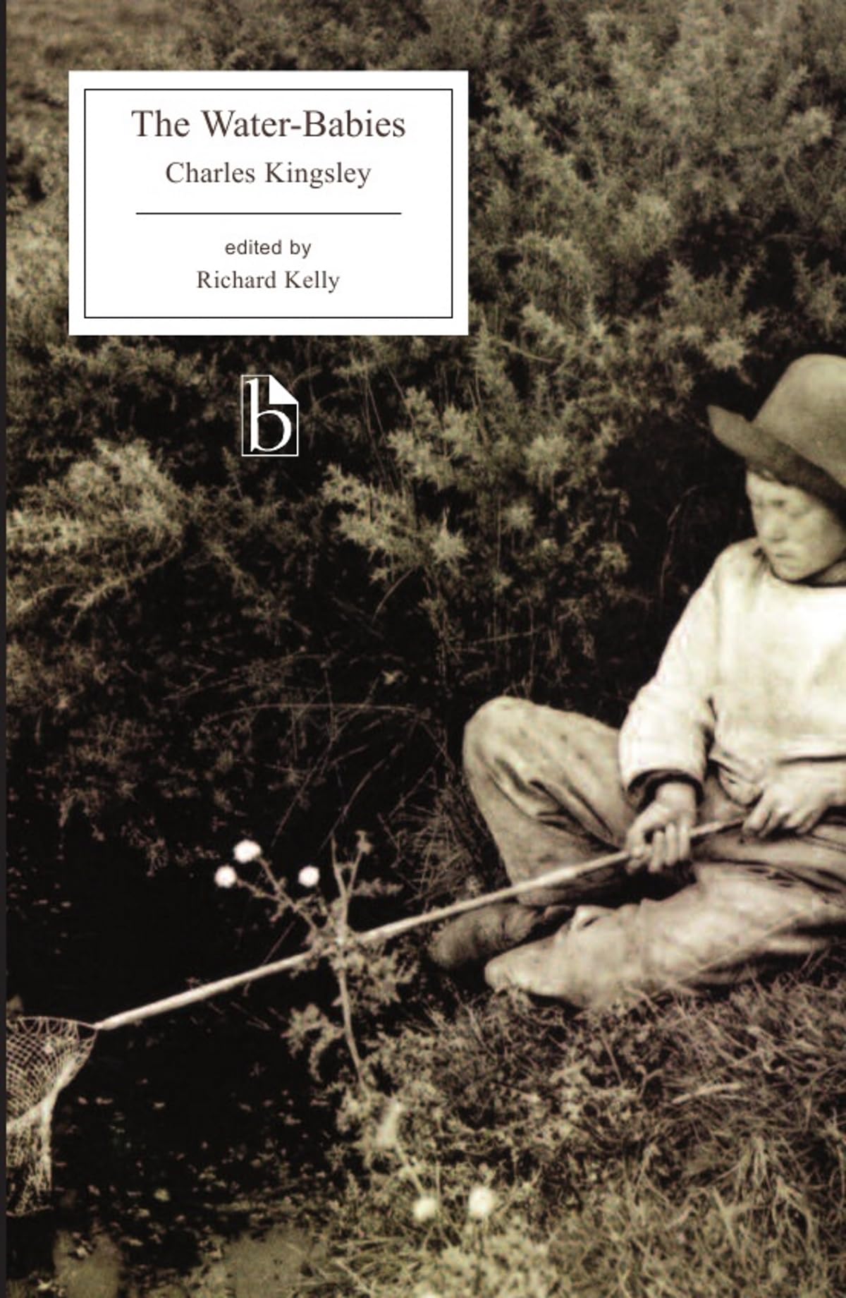 Water-Babies (Critical) book cover