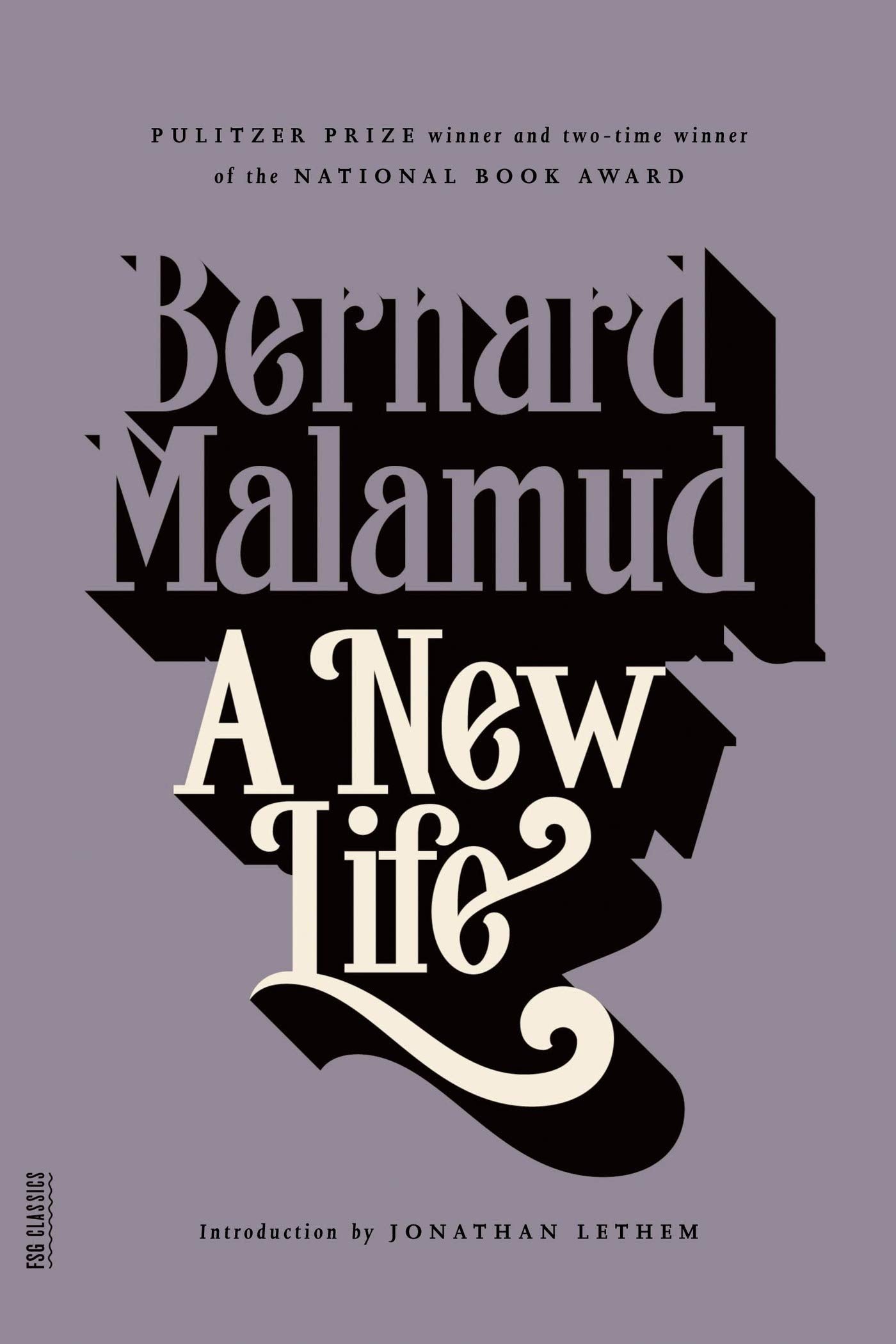 New Life book cover