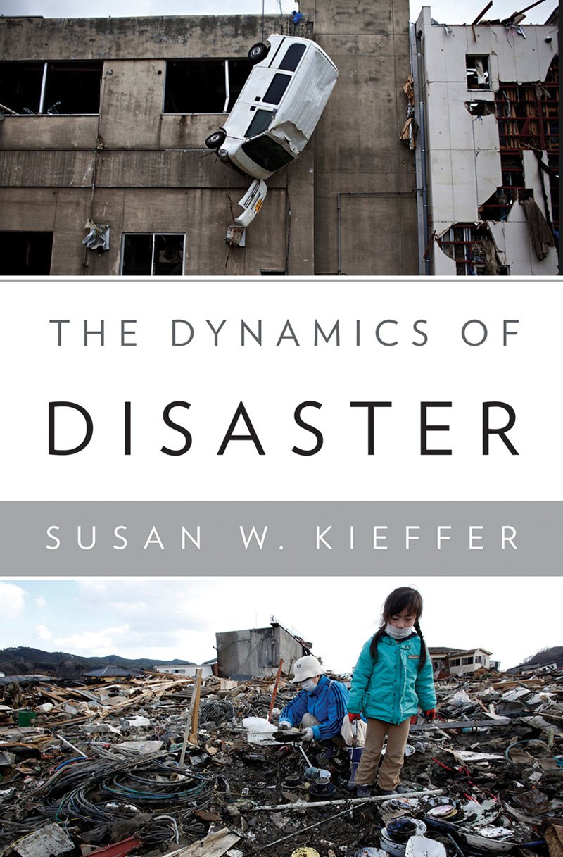 Dynamics of Disaster book cover