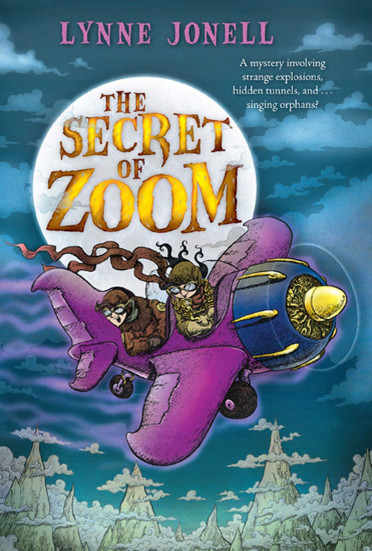 Secret of Zoom book cover