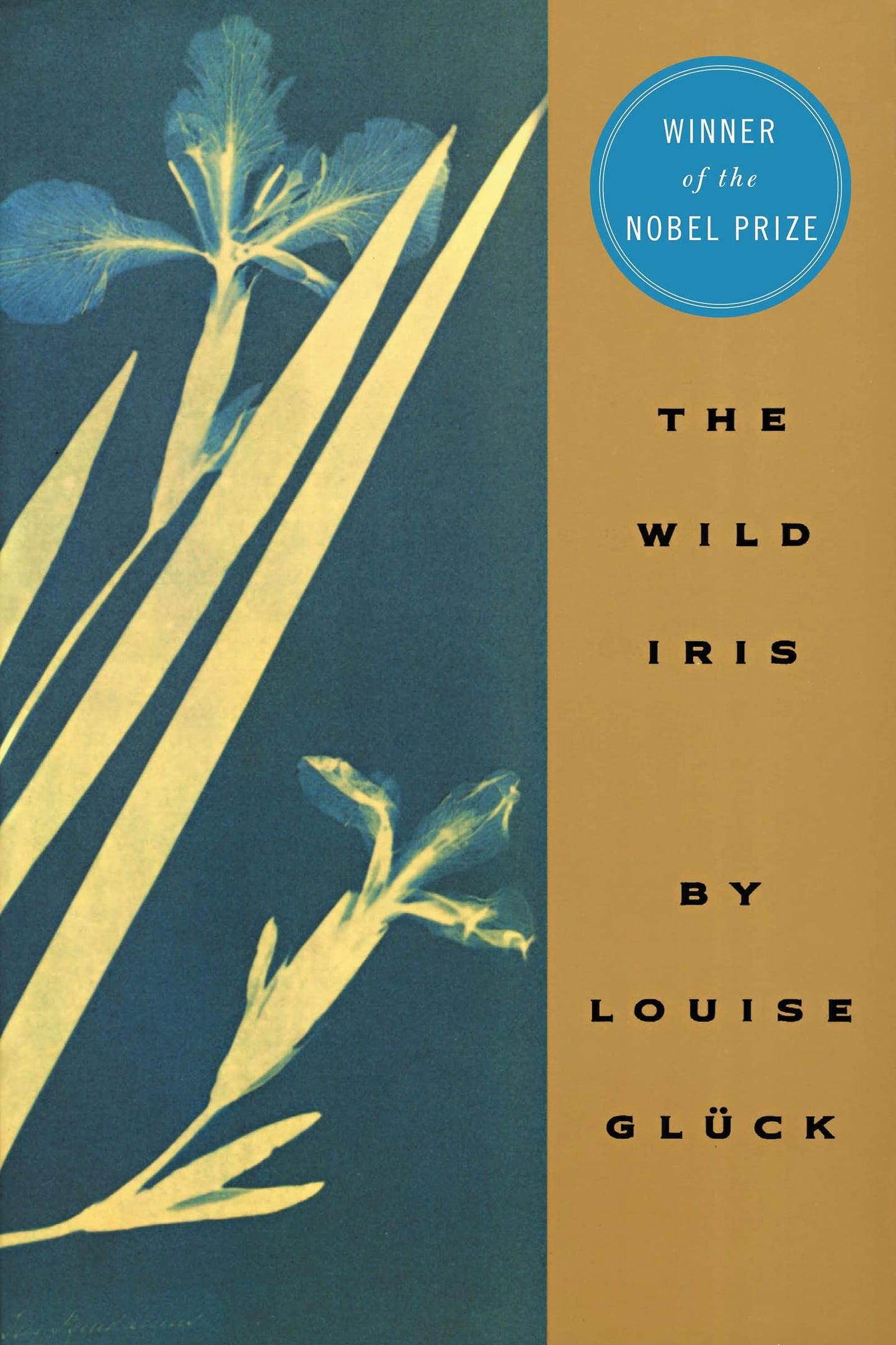 Wild Iris book cover