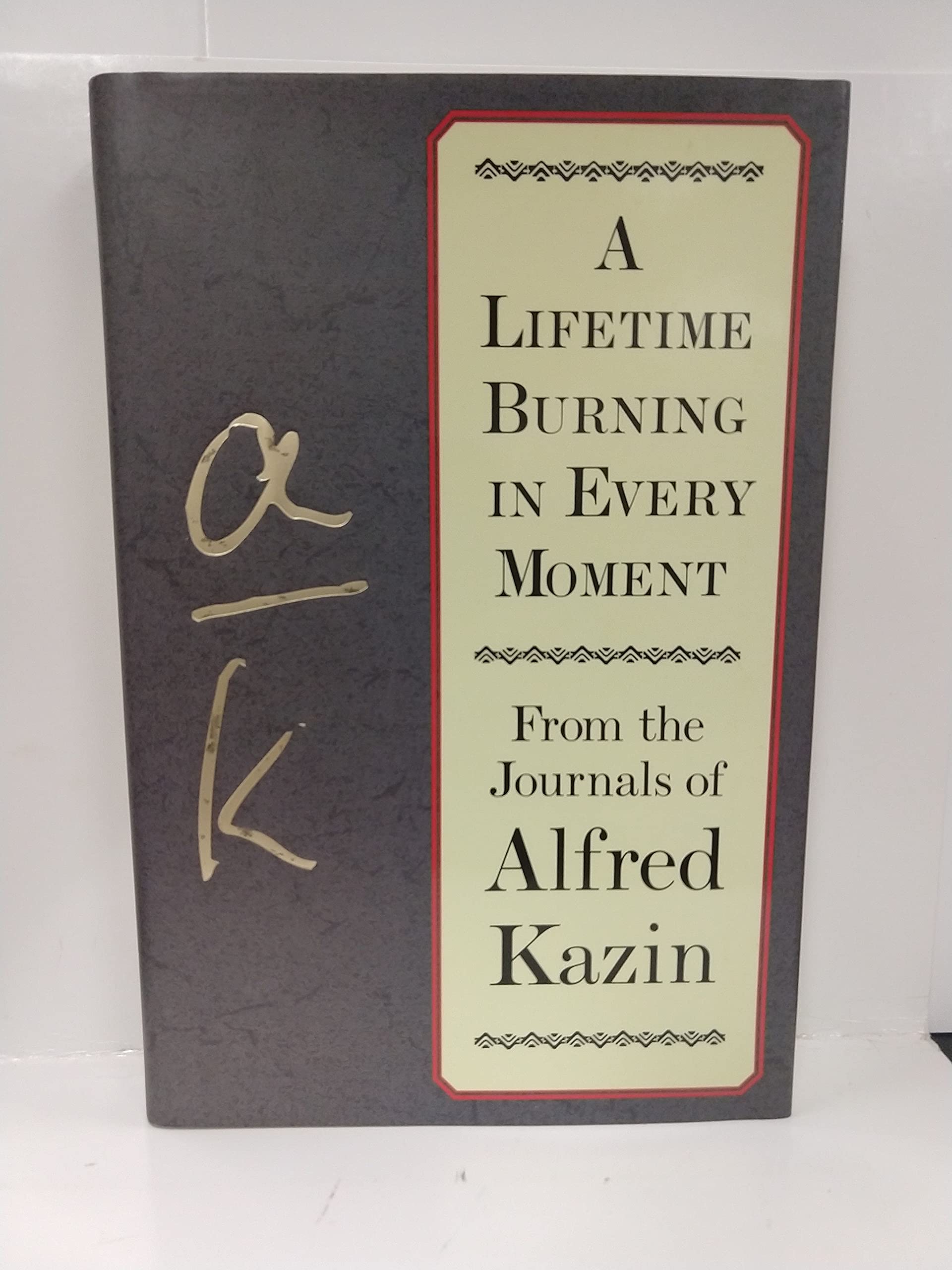 Lifetime Burning in Every Moment: From the Journals of Alfred Kazin book cover