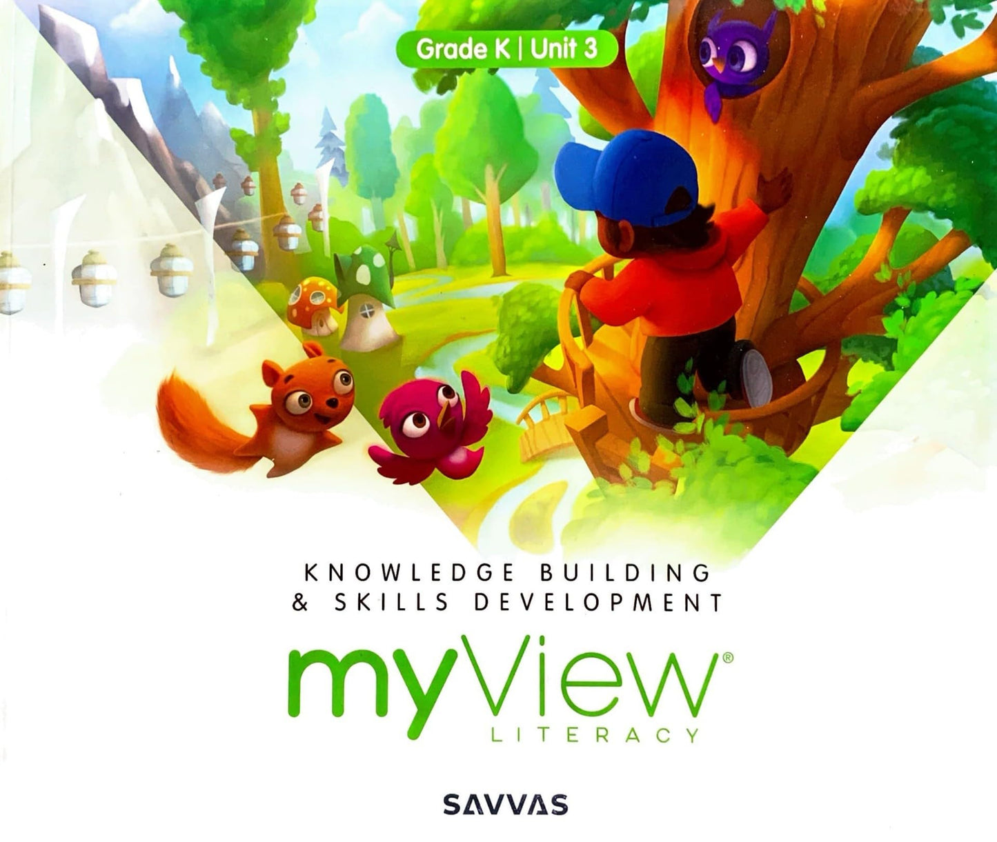 myView Literacy: Knowledge Building & Skills Development, c. 2023, 9781428552012, 1428552014