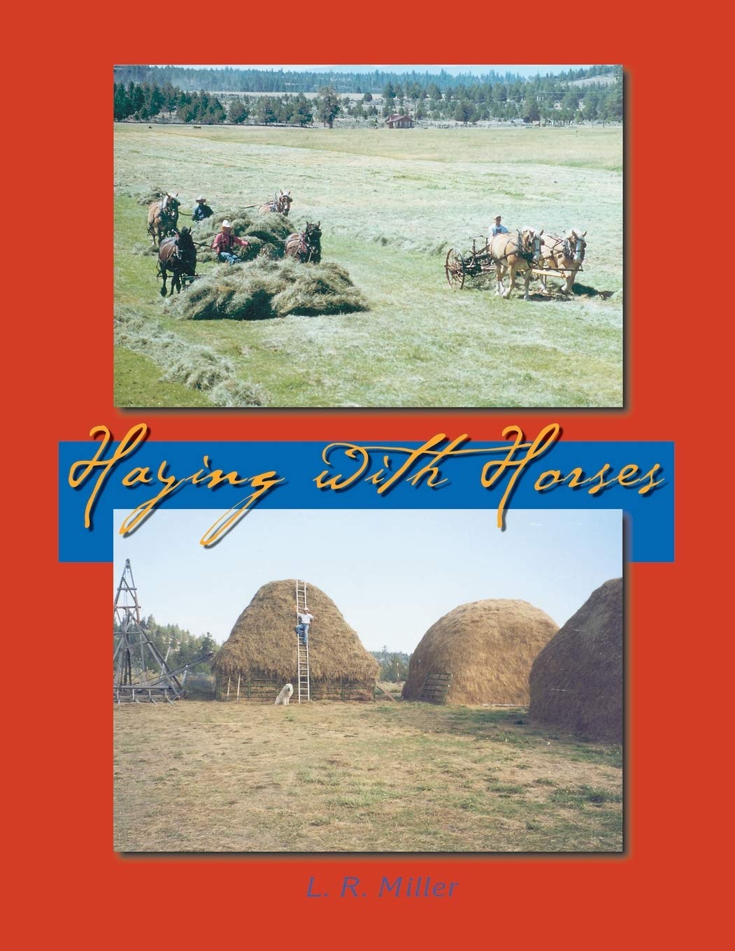 Haying With Horses book cover