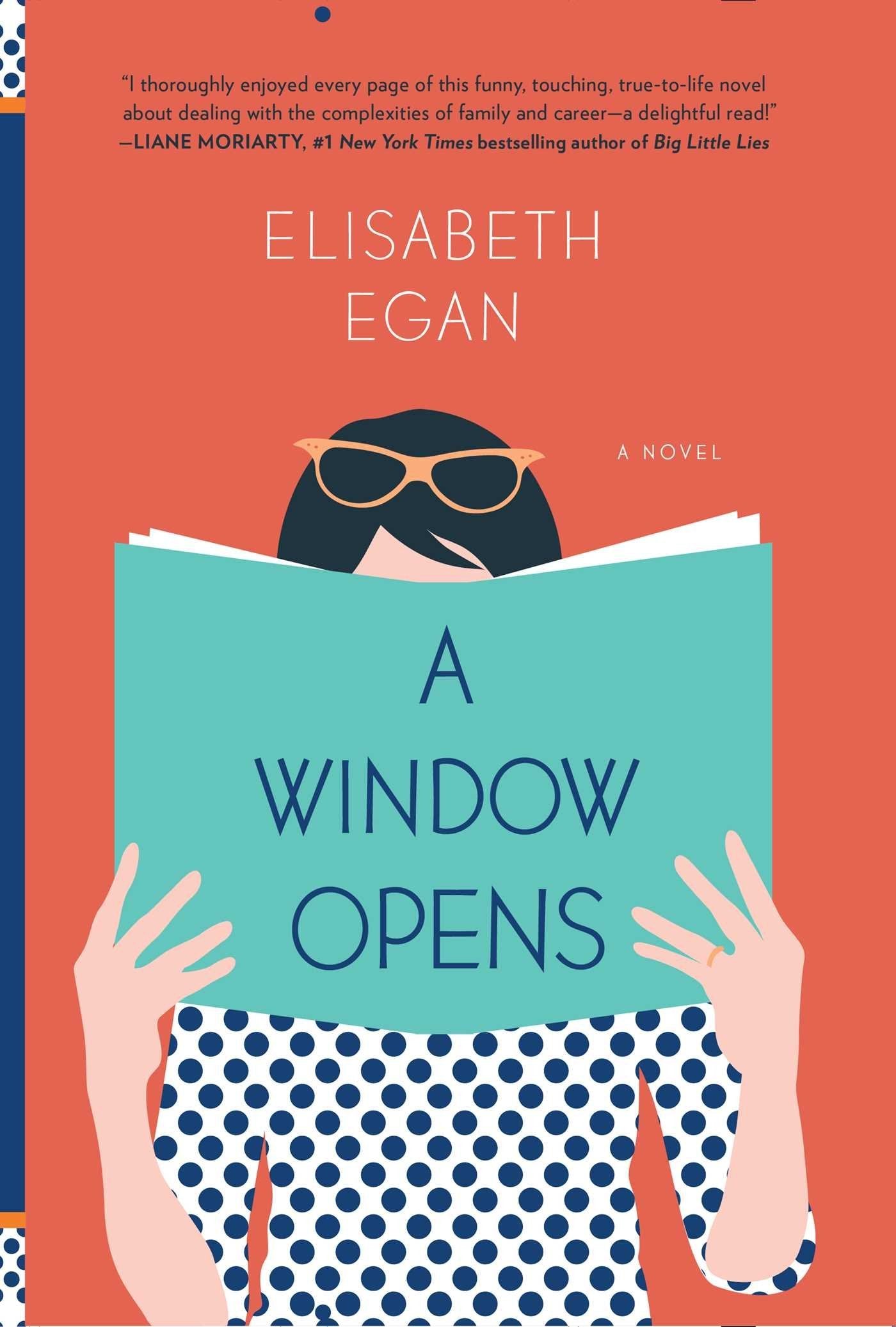 Window Opens book cover