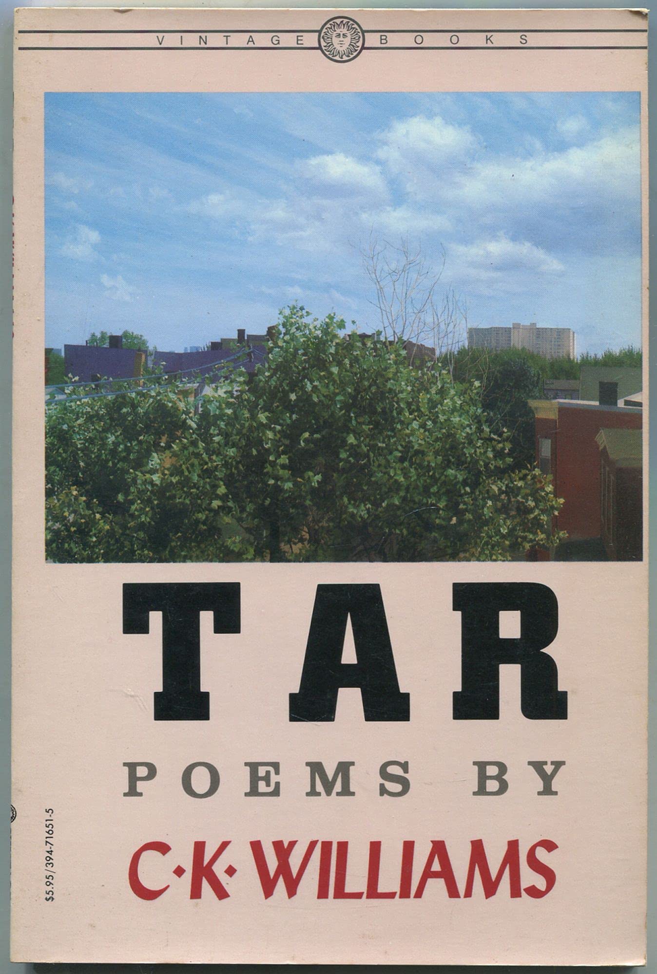 Tar V651 (Vintage Books) book cover