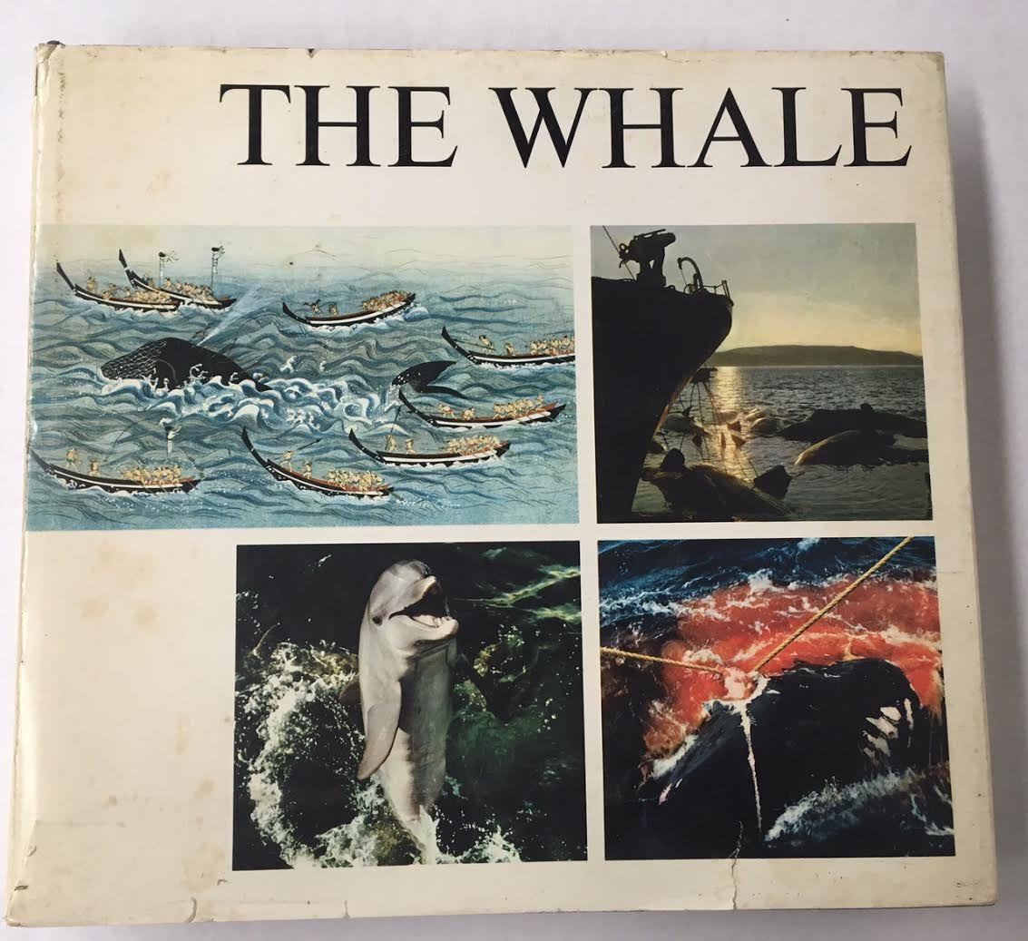 The Whale book cover