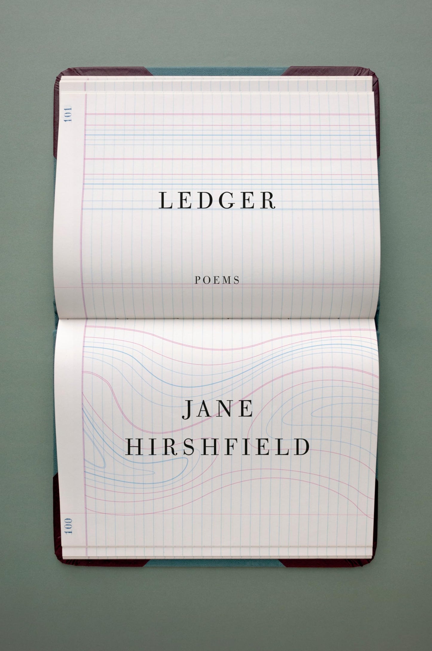 Ledger: Poems book cover