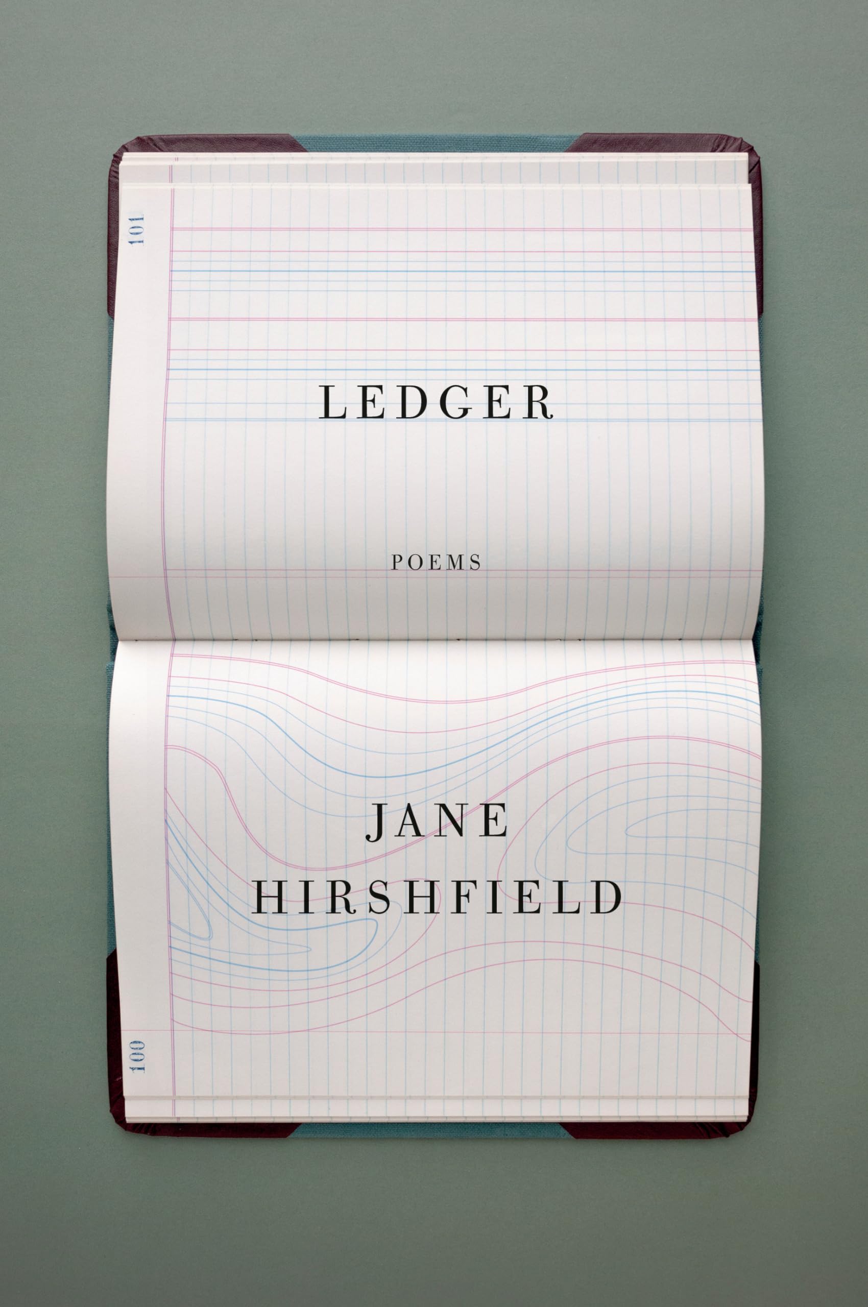 Ledger: Poems book cover