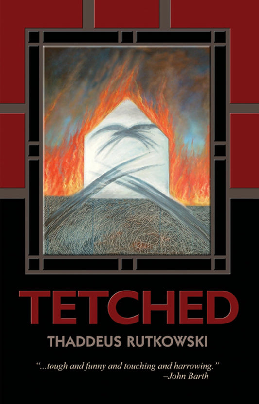 Tetched: A Novel in Fractals