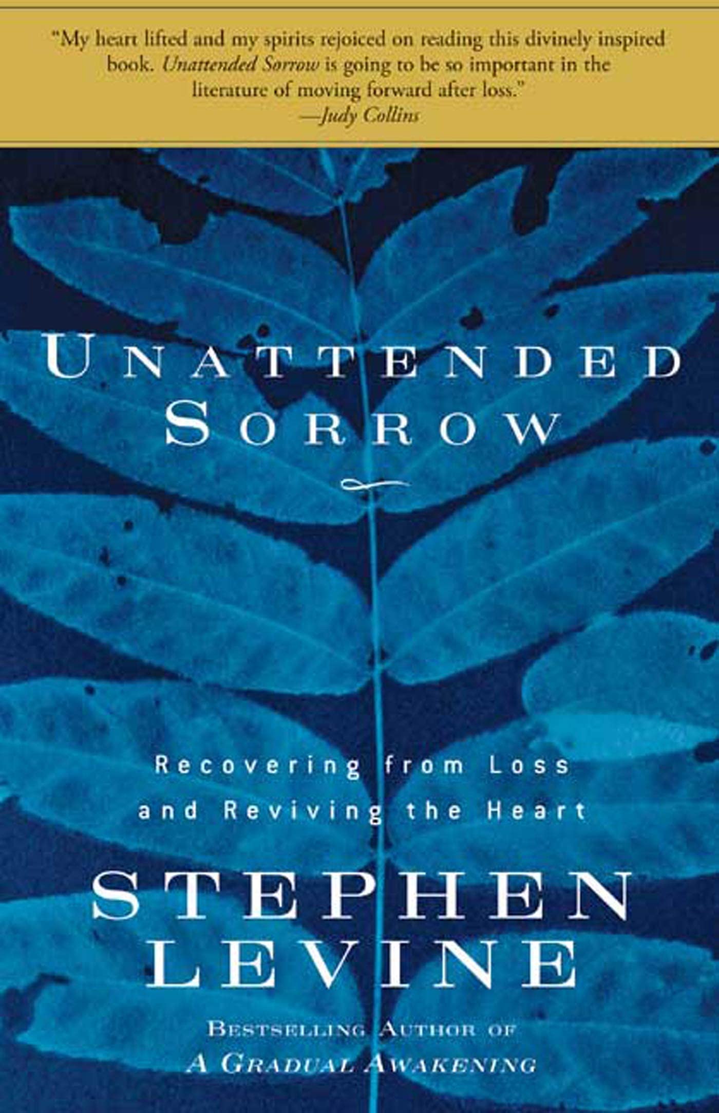 Unattended Sorrow: Recovering from Loss and Reviving the Heart book cover