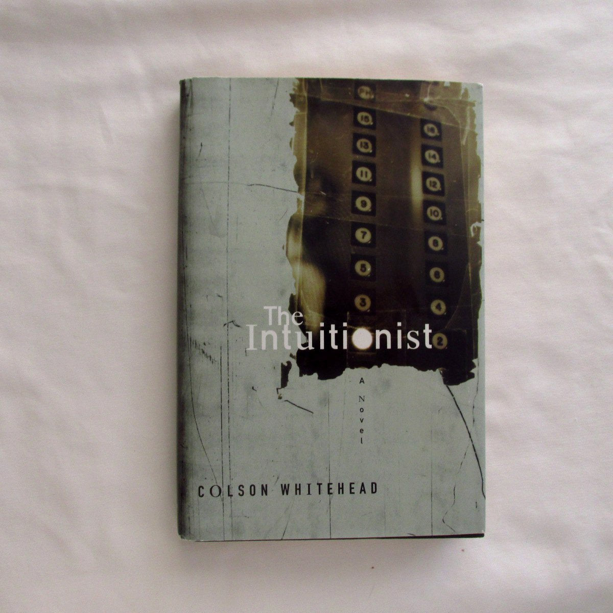 Intuitionist (Anchor Books)