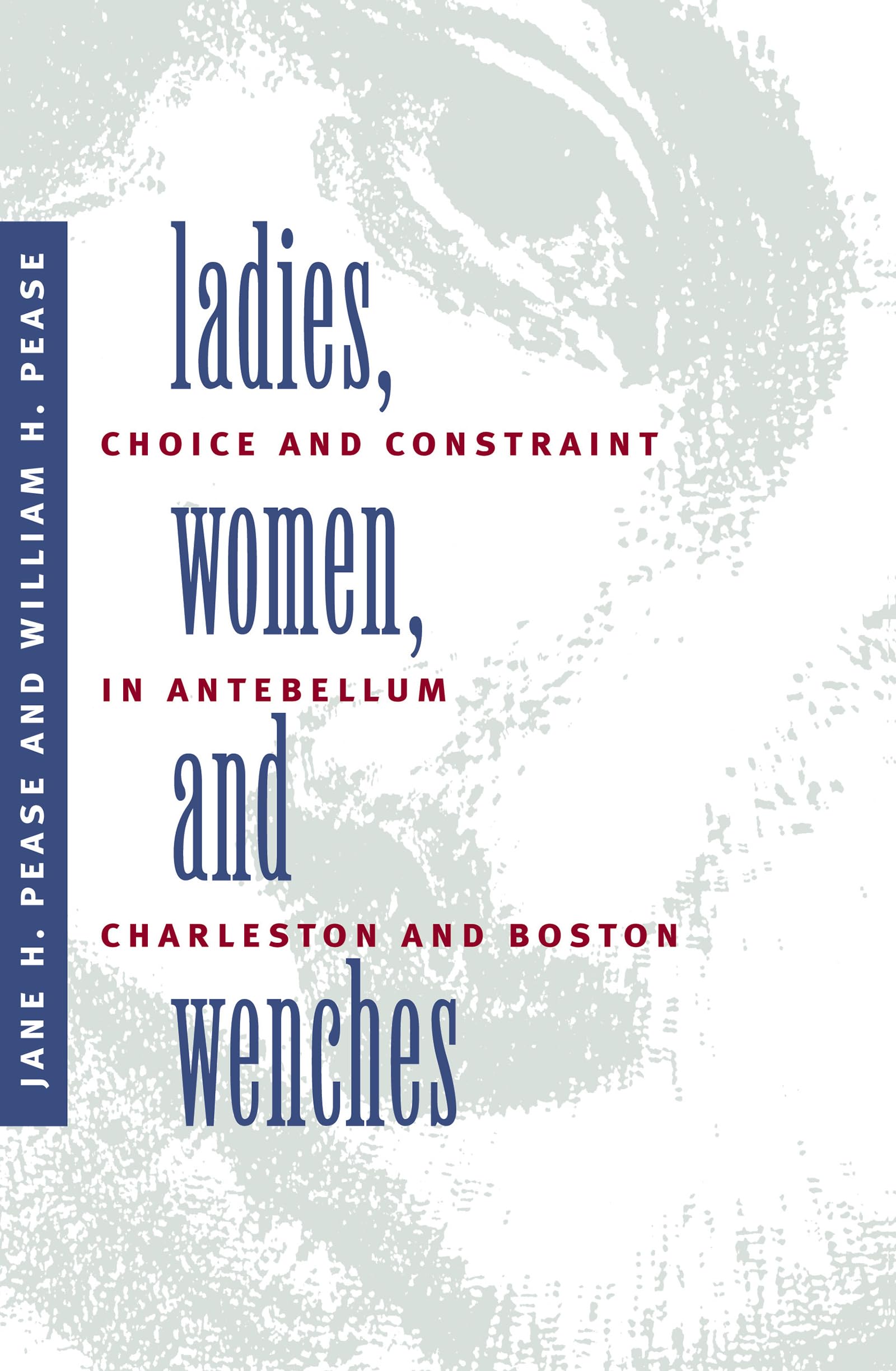 Ladies, Women, and Wenches: Choice and Constraint in Antebellum Charleston and Boston book cover