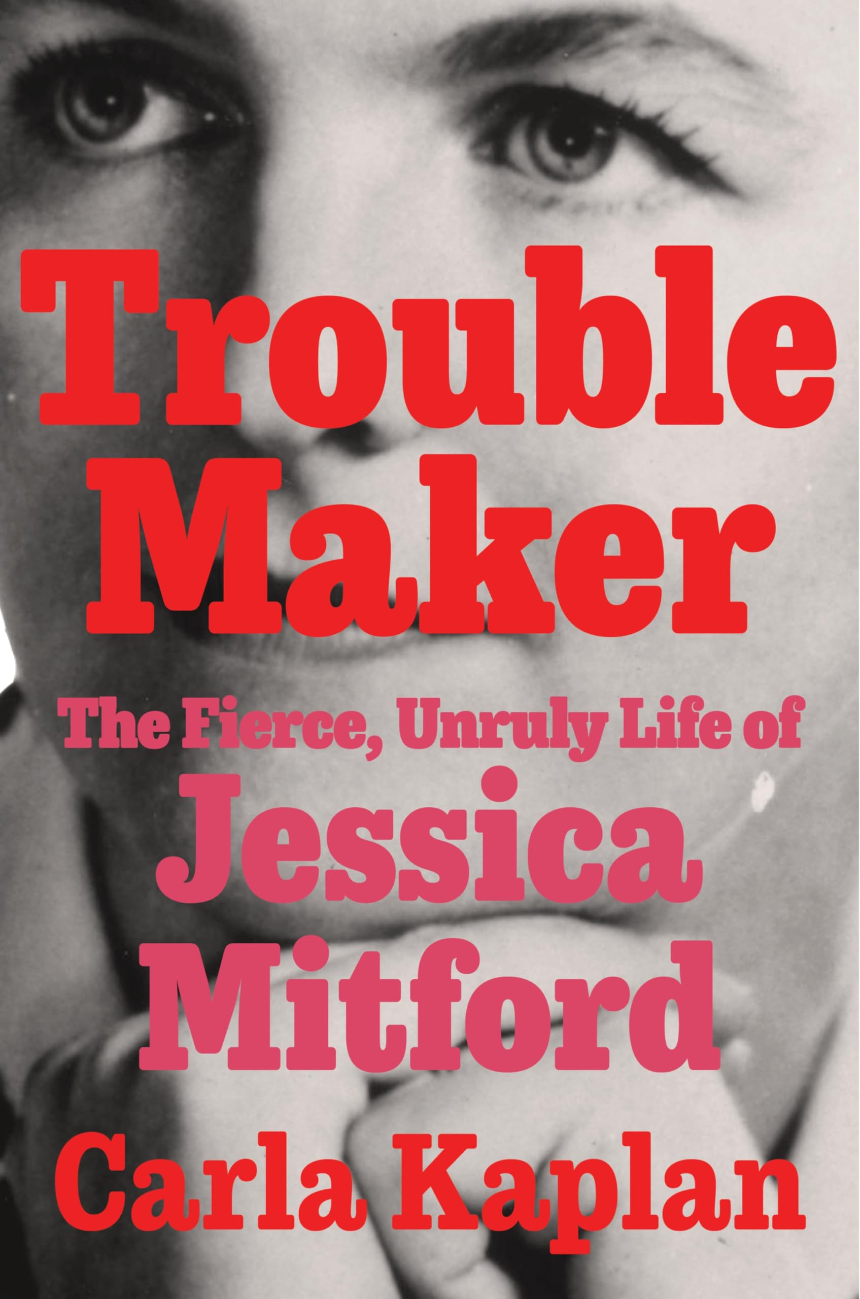 Troublemaker book cover