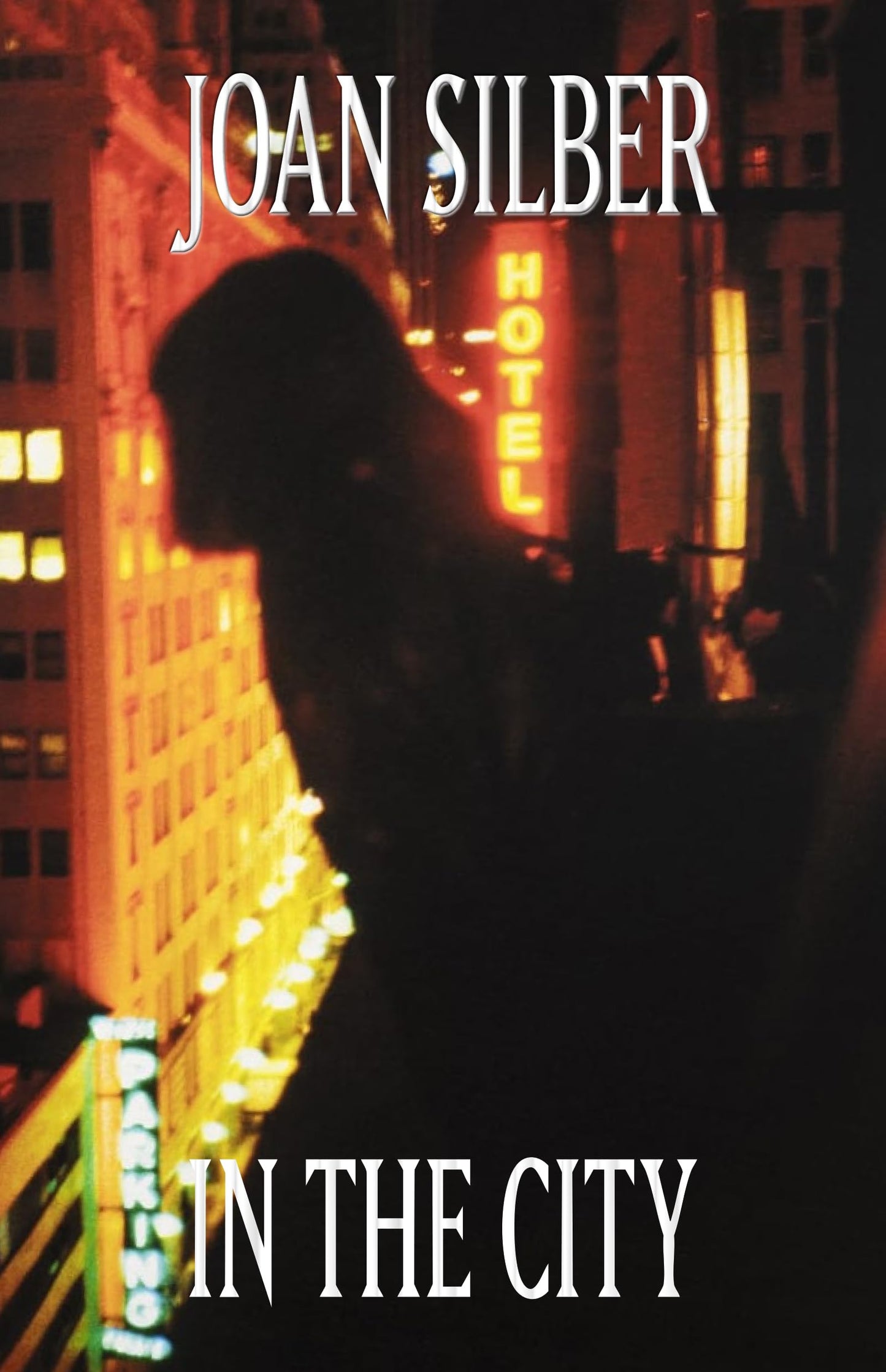 In the City book cover