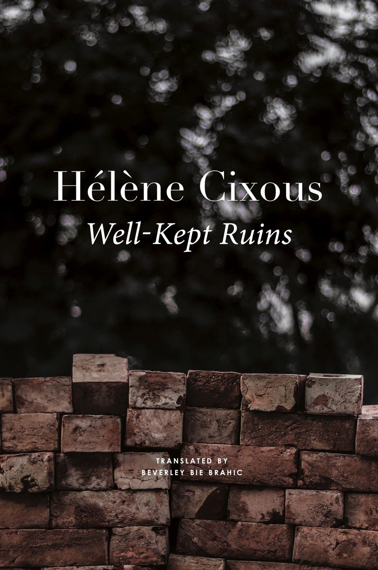 Well-Kept Ruins book cover