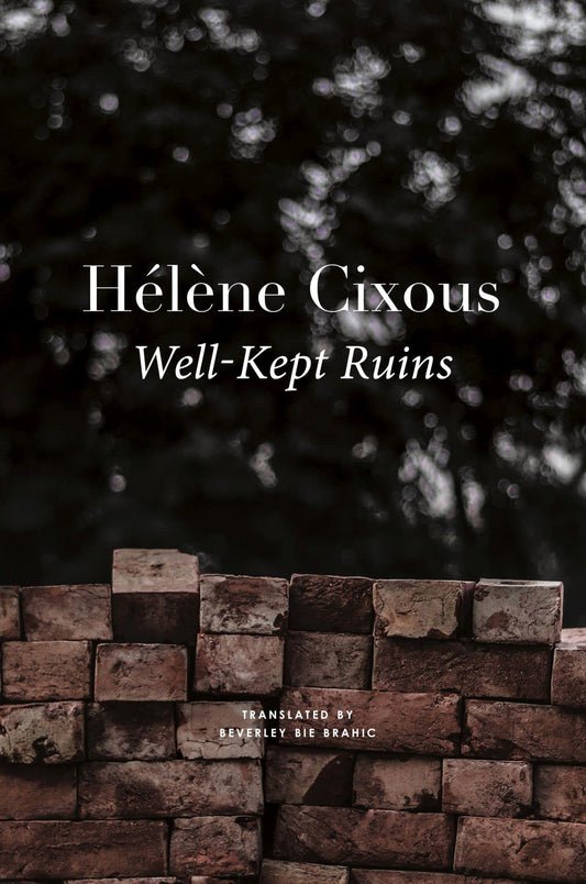 Well-Kept Ruins book cover