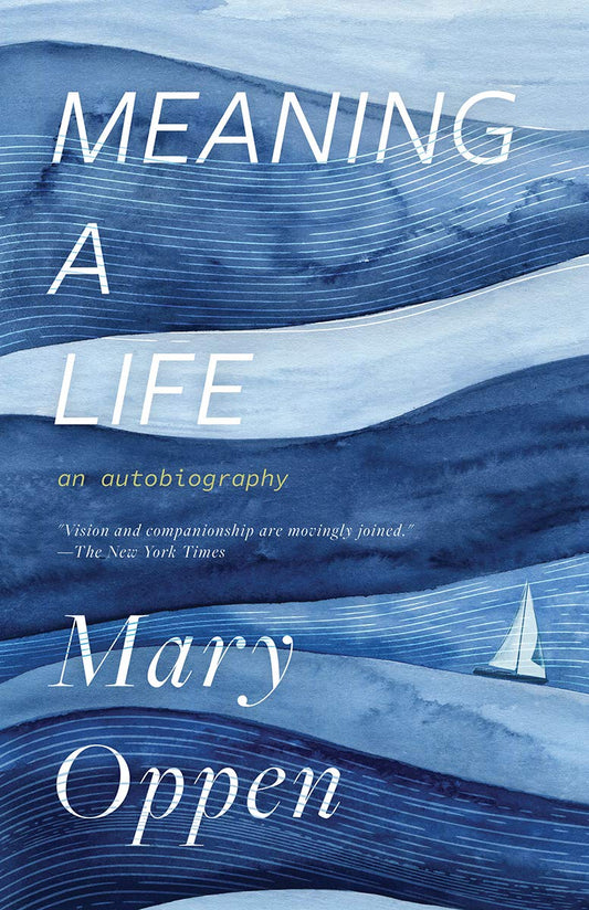 Meaning a Life book cover