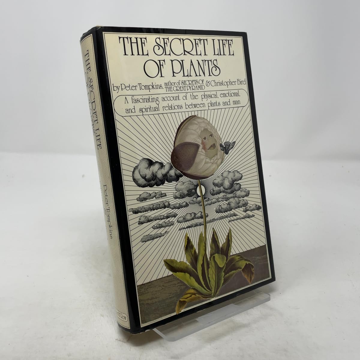 Secret Life of Plants book cover