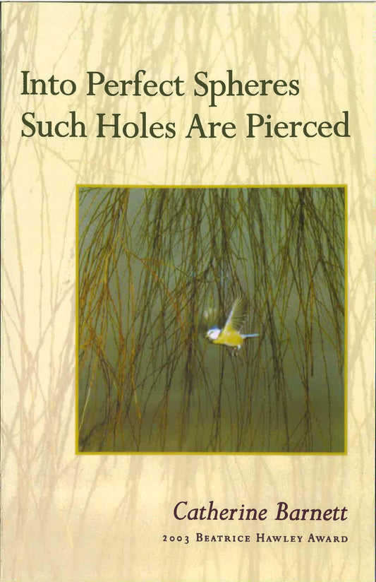Into Perfect Spheres Such Holes Are Pierced book cover