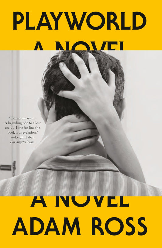 Playworld book cover