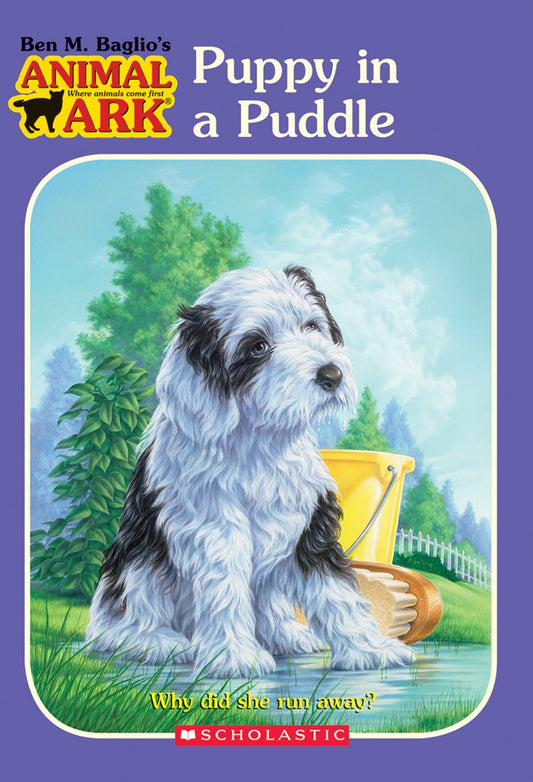 Puppy in a Puddle book cover