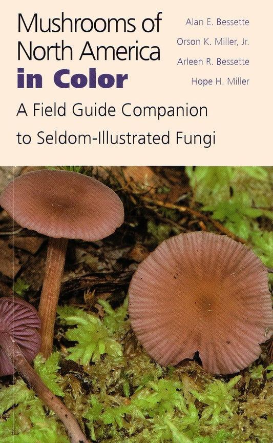 Mushrooms of North America in Color: A Field Guide Companion to Seldom-Illustrated Fungi