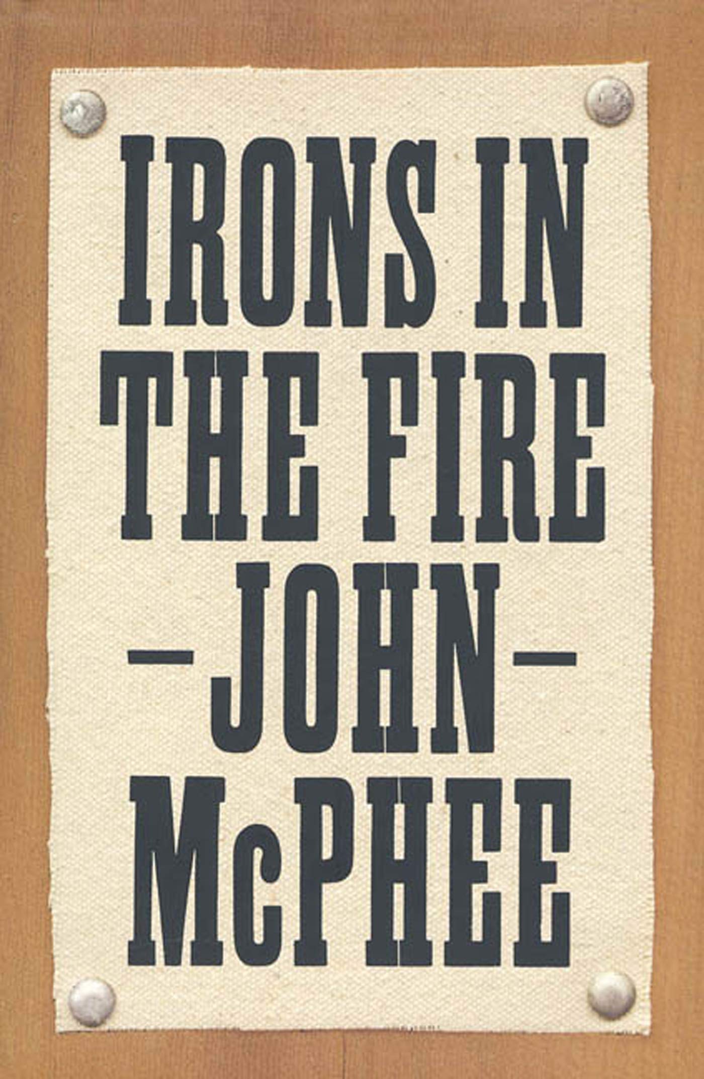 Irons in the Fire book cover