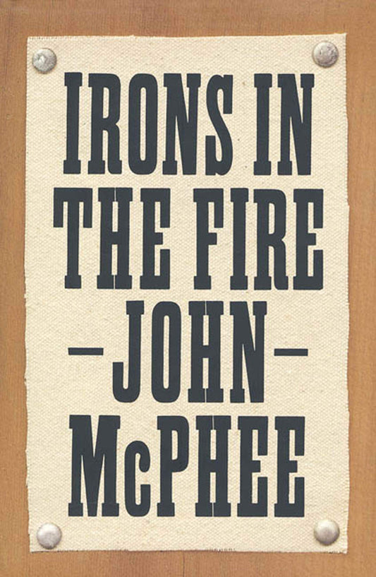 Irons in the Fire book cover