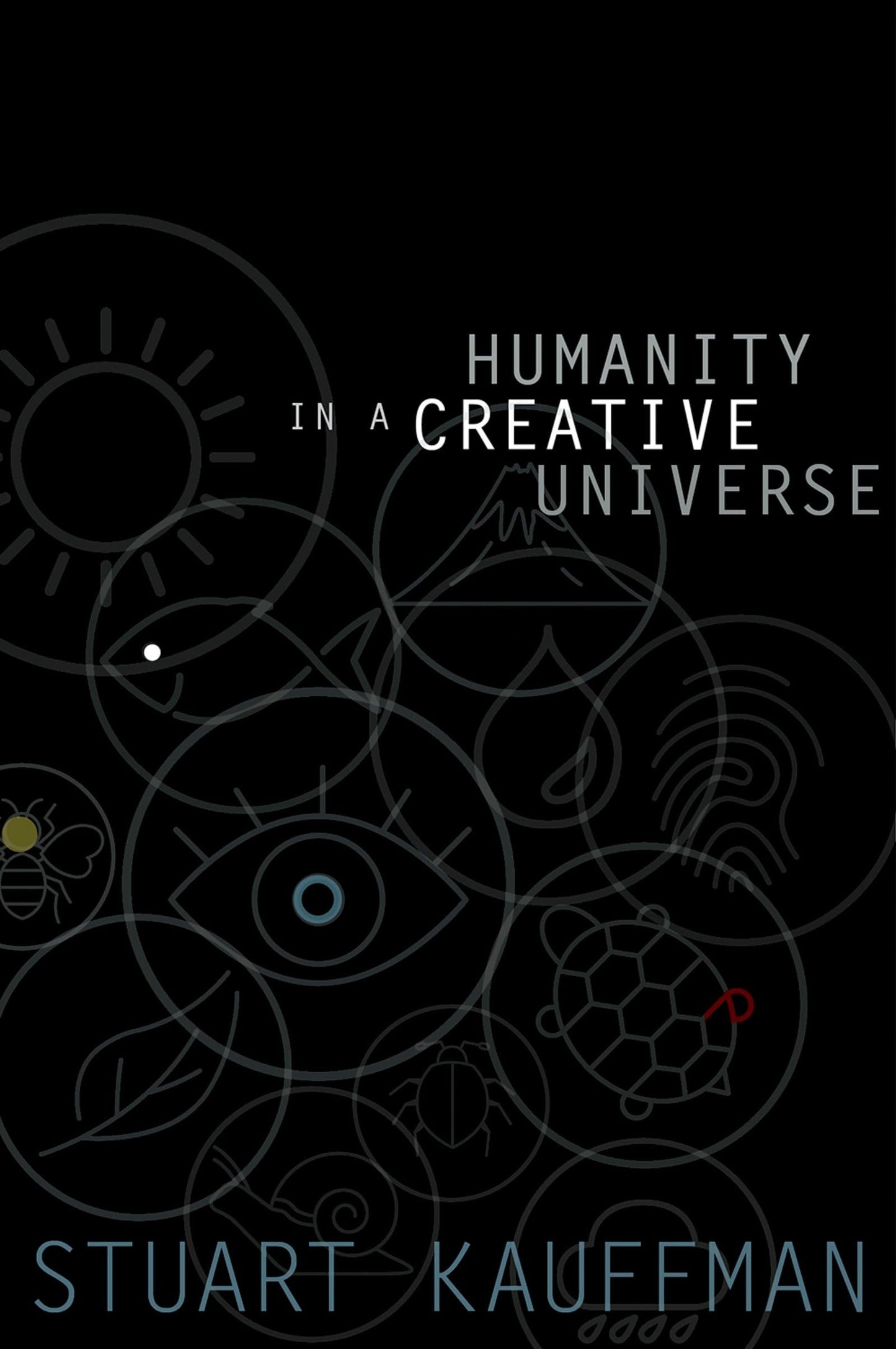 Humanity in a Creative Universe book cover
