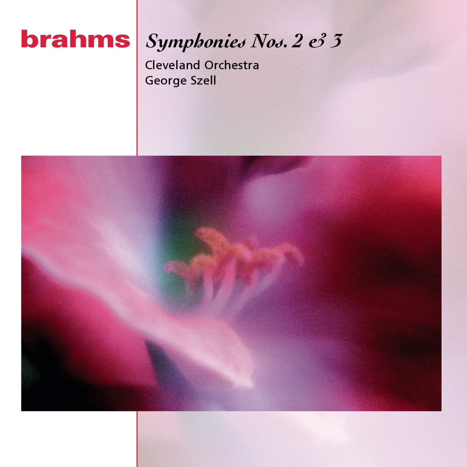 Symphonies 2 & 3 book cover