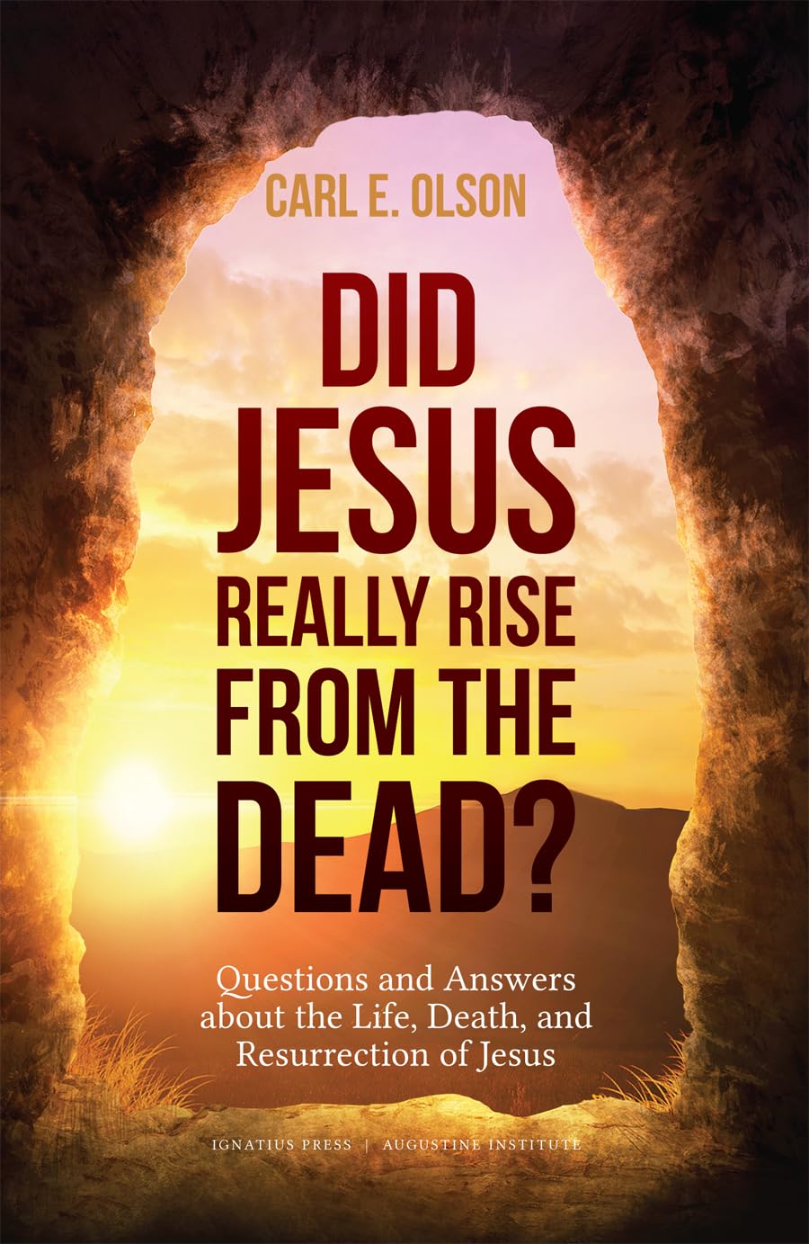 Did Jesus Really Rise from the Dead? book cover