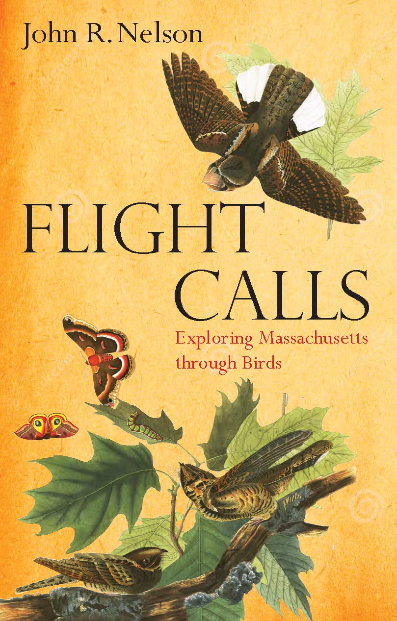 Flight Calls: Exploring Massachusetts Through Birds book cover