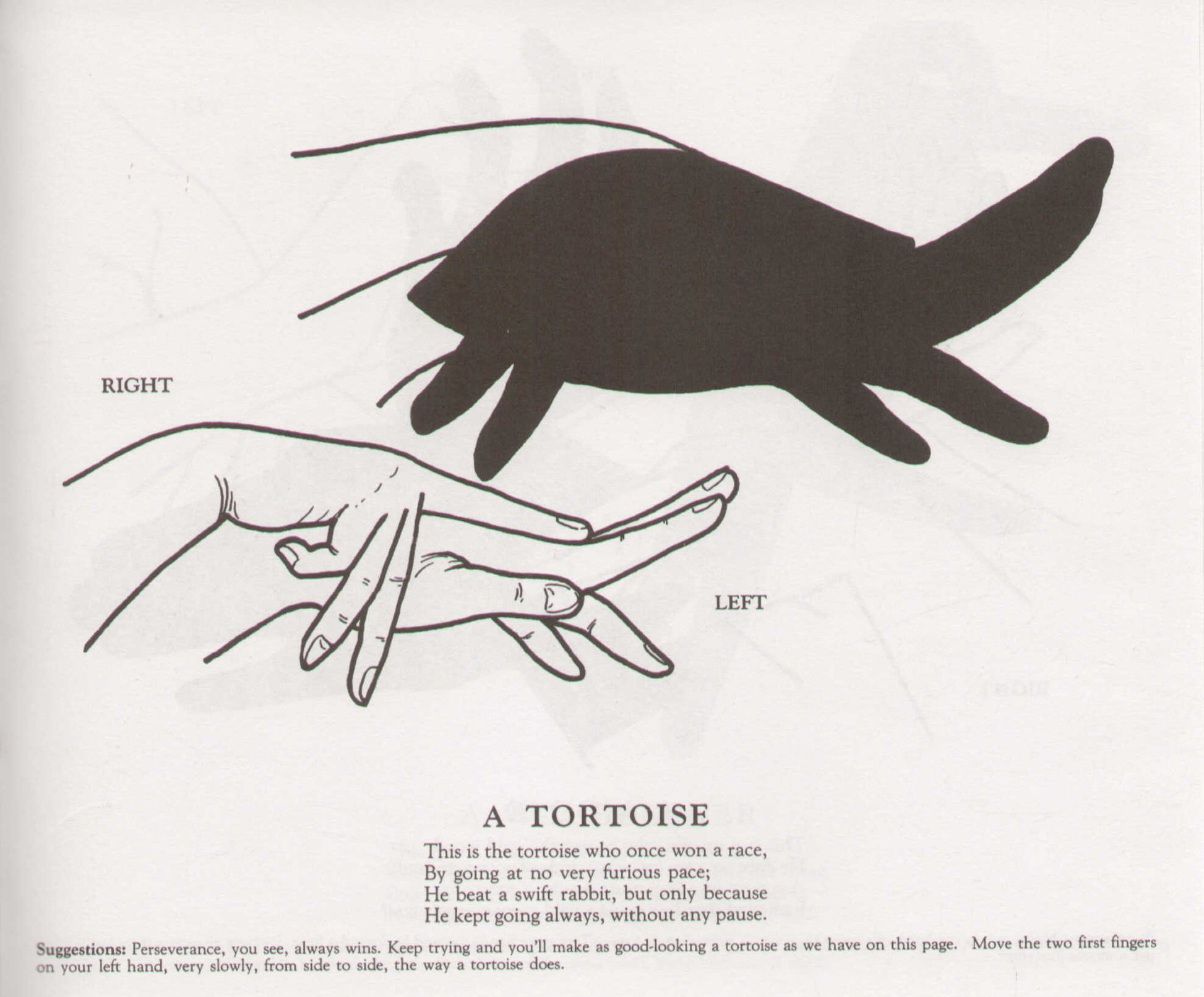 Shadowgraphs book cover