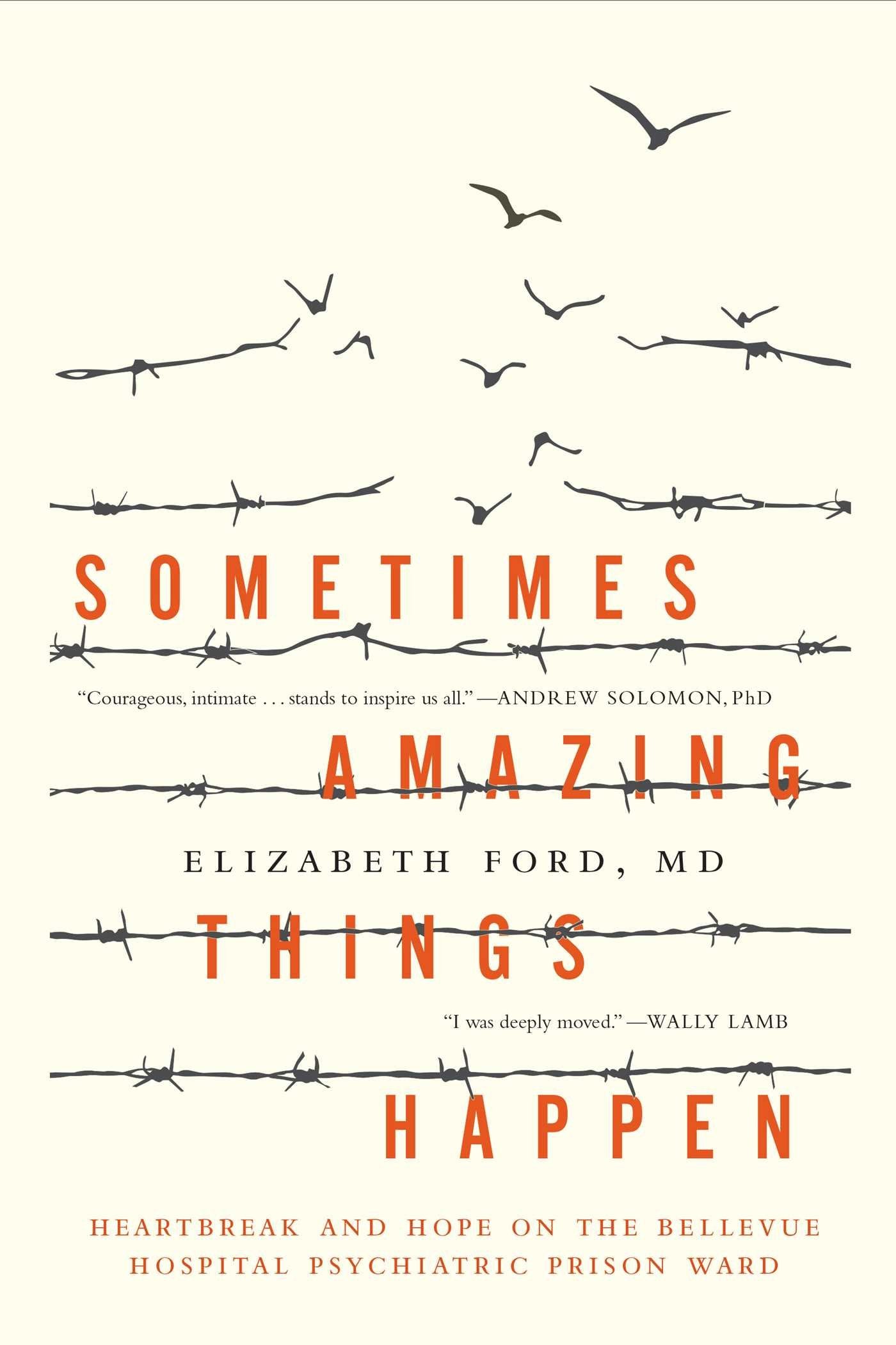 Sometimes Amazing Things Happen: Heartbreak and Hope on the Bellevue Hospital Psychiatric Prison Ward book cover